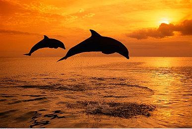 模拟游戏《泰西斯之潮》Steam页面上线 年内发售